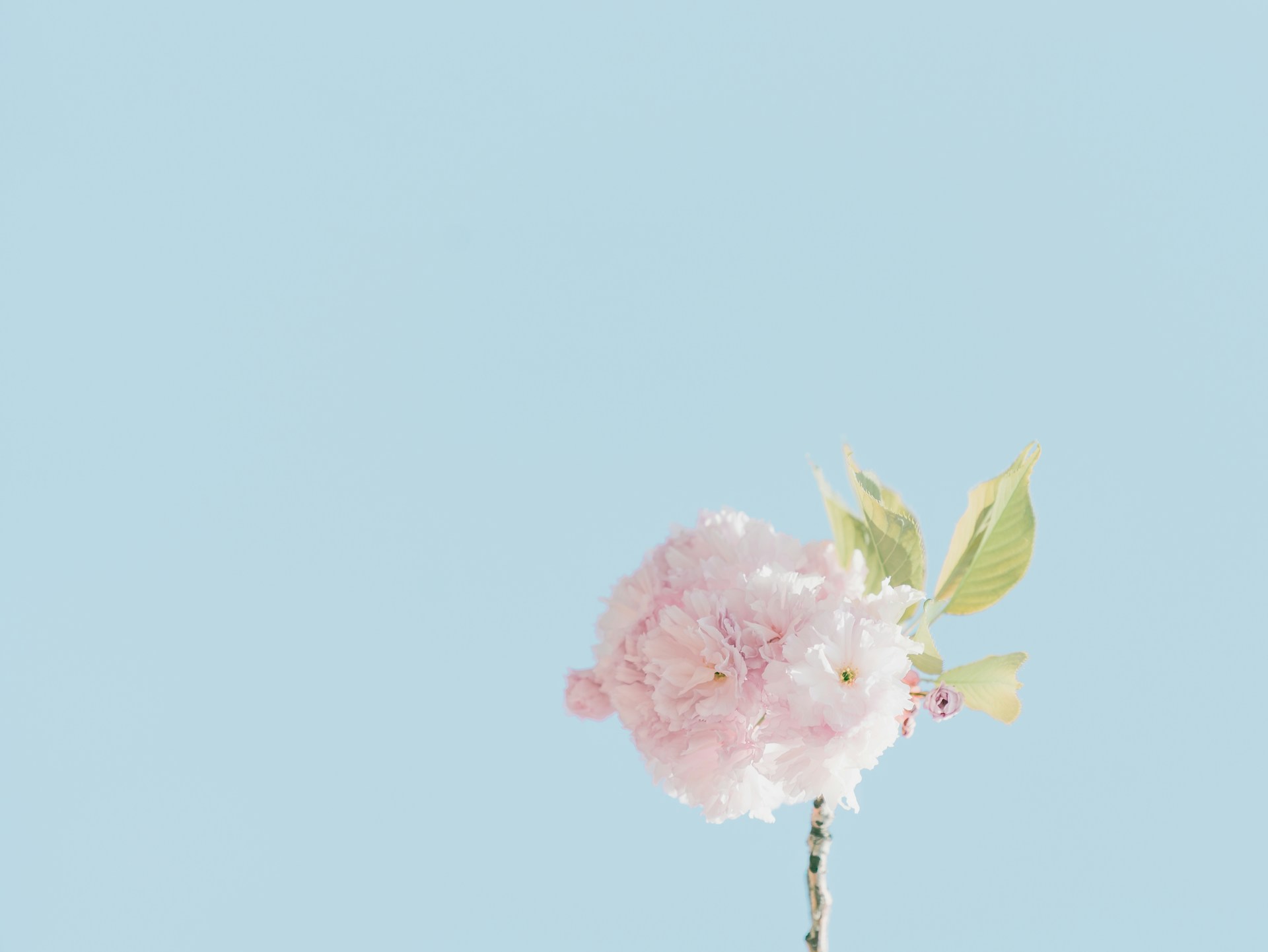 Image default