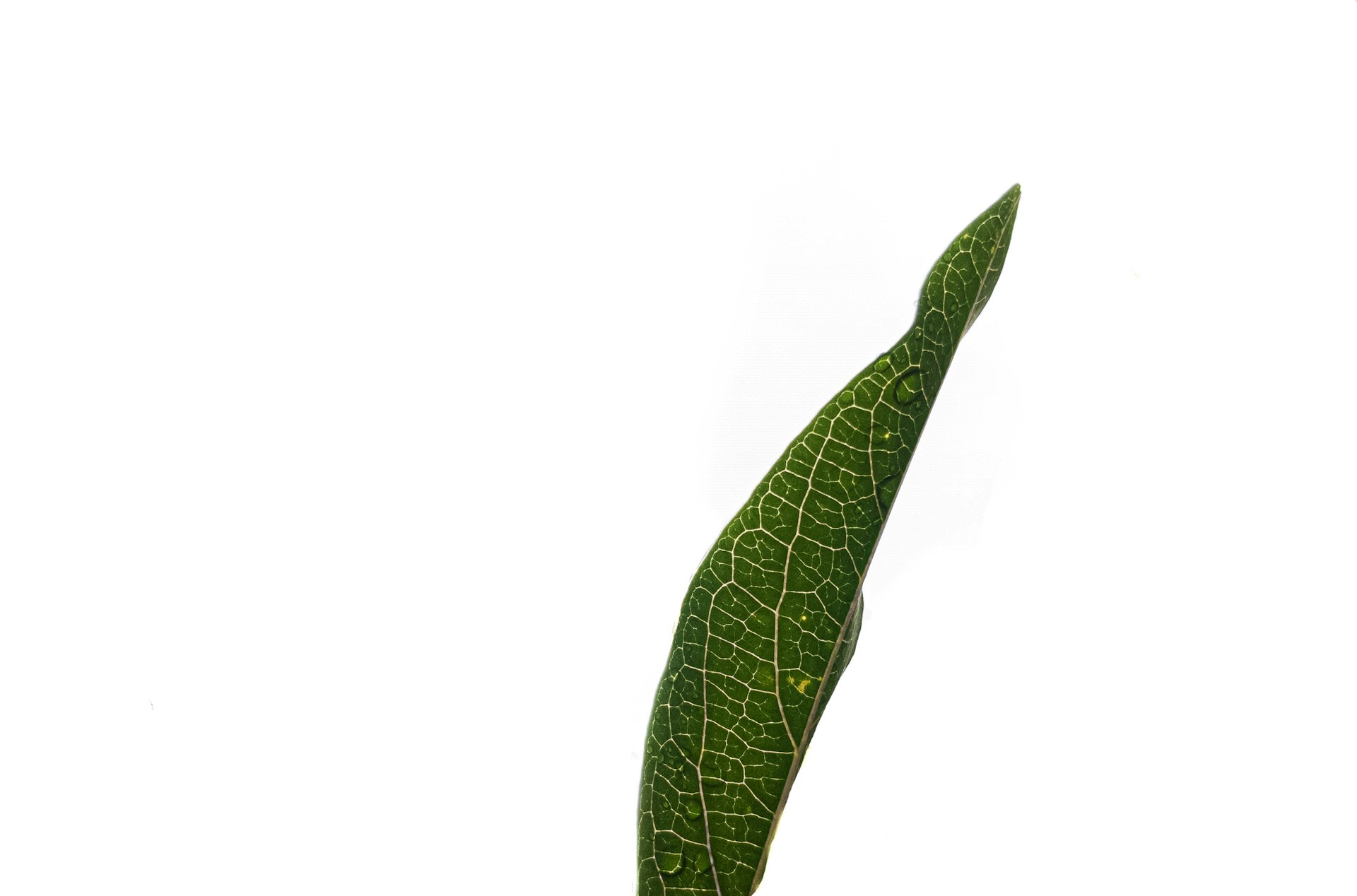 Image default