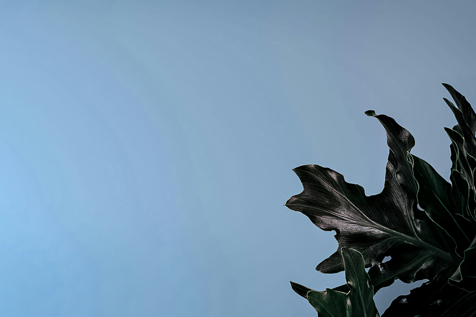Image default